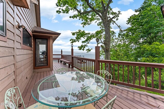 1121 Hollyberry Ct, Sevierville, TN 37876 - photo 64