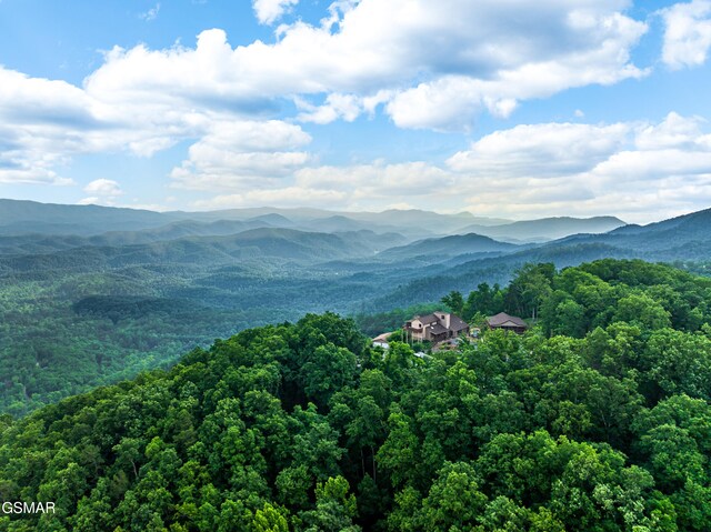 1121 Hollyberry Ct, Sevierville, TN 37876 - photo 76
