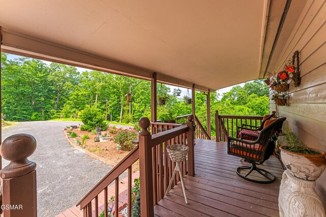 1121 Hollyberry Ct, Sevierville, TN 37876 - photo 67