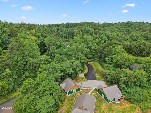 1010 Pinyon Cir, Pigeon Forge, TN 37863 - bird's eye view of a forest