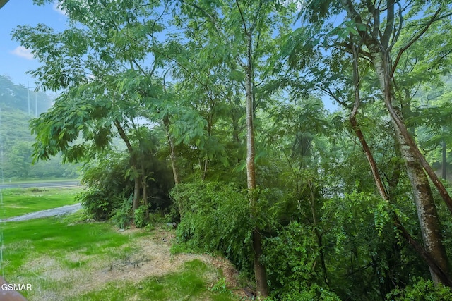 1010 Pinyon Cir, Pigeon Forge, TN 37863 - view of undeveloped land