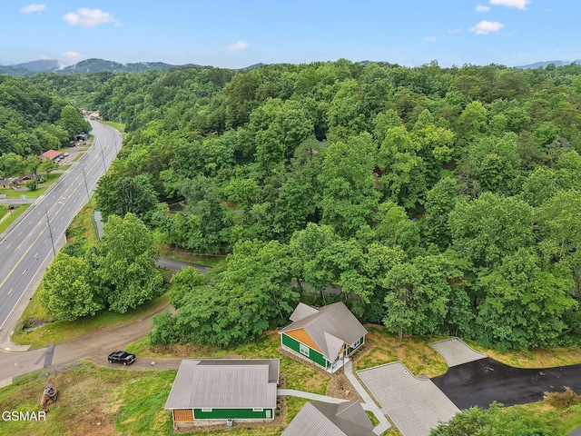1010 Pinyon Cir, Pigeon Forge, TN 37863 - bird's eye view of a mountain backdrop