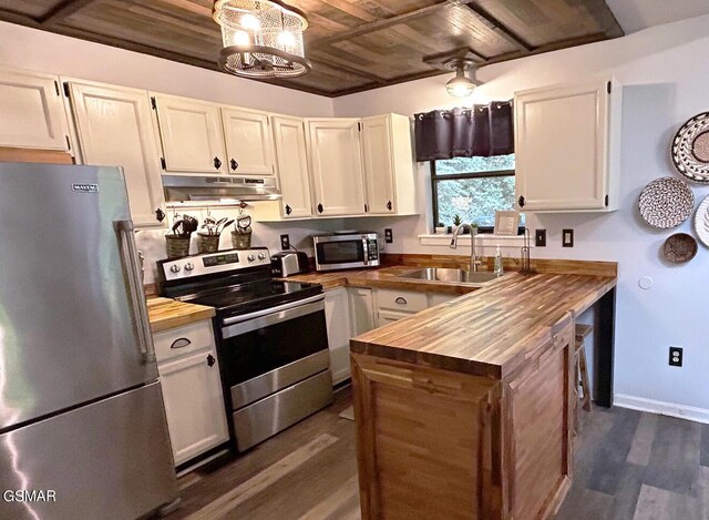 kitchen featuring wooden ceiling, appliances with stainless steel finishes, under cabinet range hood, wooden counters, and a sink