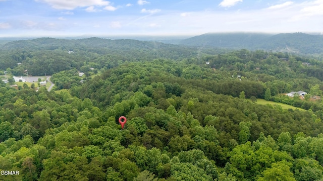 1514 Ridgecrest Dr, Sevierville, TN 37876 - bird's eye view of a forest and mountains