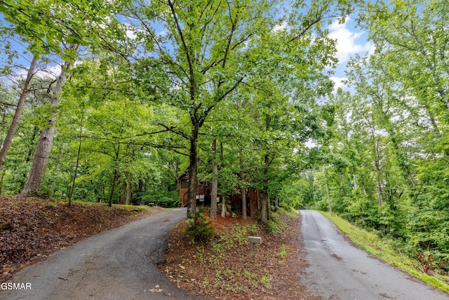 1514 Ridgecrest Dr, Sevierville, TN 37876 - view of asphalt driveway featuring a view of trees