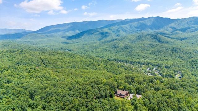 441 Matterhorn Dr, Gatlinburg, TN 37738 - property view of mountains