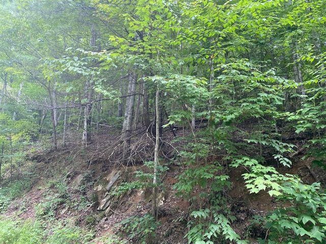 Balsam Cir, Sevierville TN, 37876 land for sale