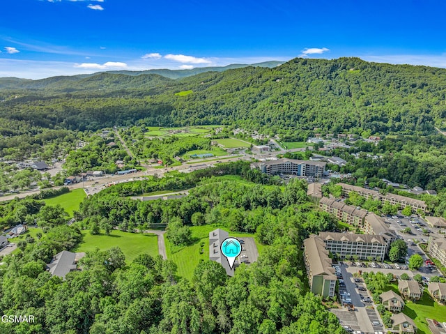 526 Briarcliff Way Apt 102, Pigeon Forge, TN 37863 - aerial view of a forest and mountains