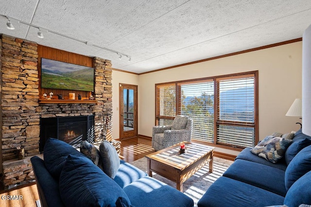 living room featuring a textured ceiling, hardwood / wood-style flooring, a stone fireplace, and rail lighting