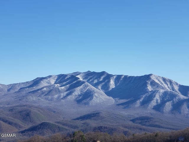 view of mountain feature