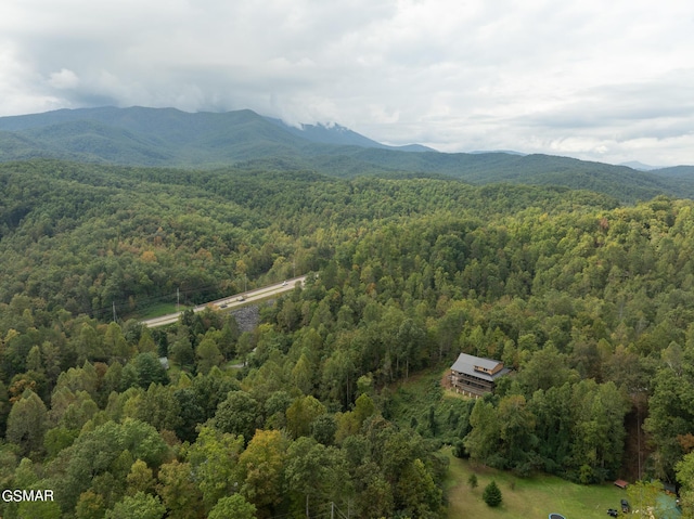 birds eye view of property with a mountain view