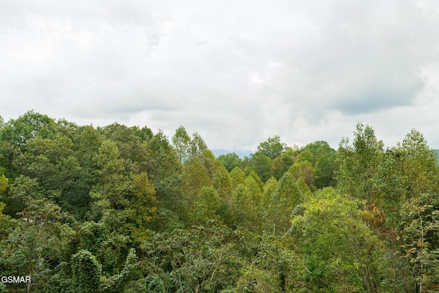 view of local wilderness