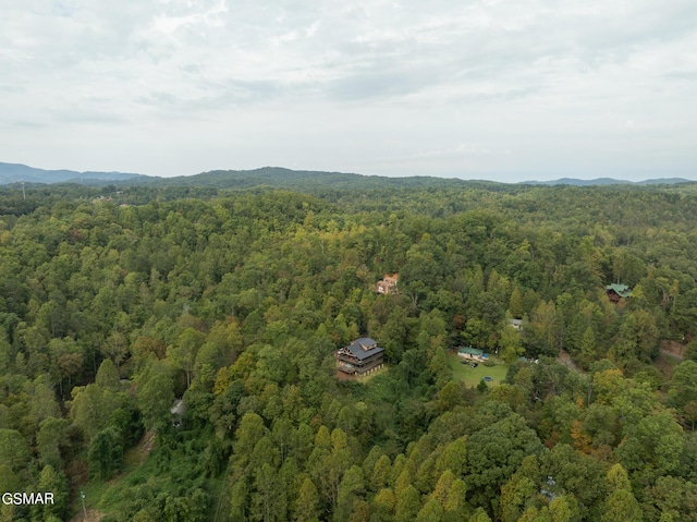 245 Moneymaker Cir, Gatlinburg, TN 37738 - photo 102