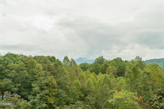 view of landscape