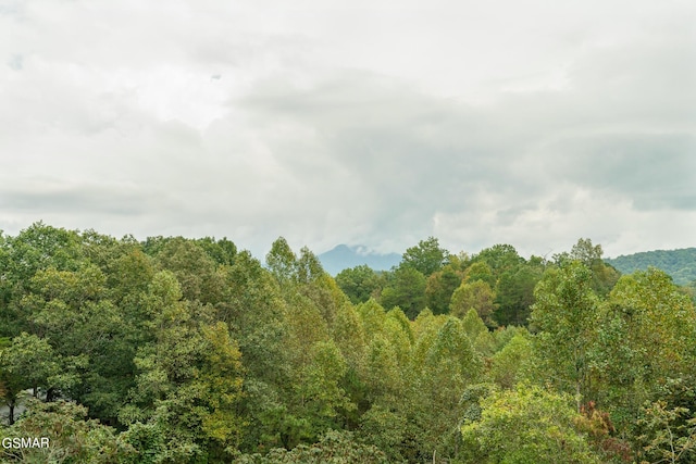 245 Moneymaker Cir, Gatlinburg, TN 37738 - photo 92