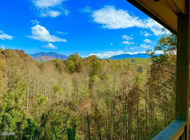 245 Moneymaker Cir, Gatlinburg, TN 37738 - photo 7