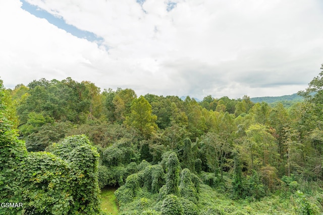 245 Moneymaker Cir, Gatlinburg, TN 37738 - photo 91