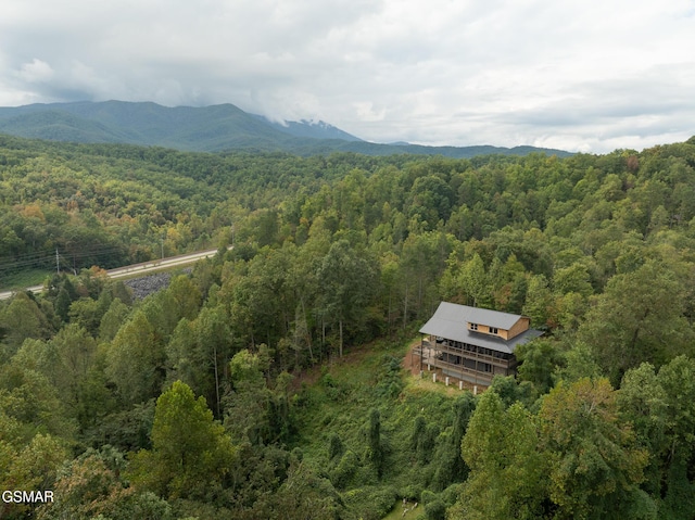 drone / aerial view with a mountain view