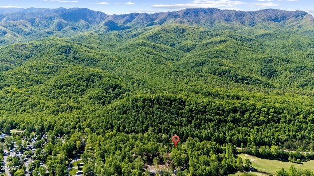 LOT6 Fontaine Way, Gatlinburg, TN 37738