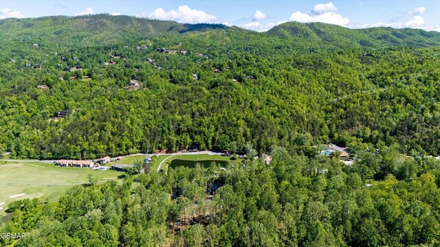 LOT6 Fontaine Way, Gatlinburg, TN 37738