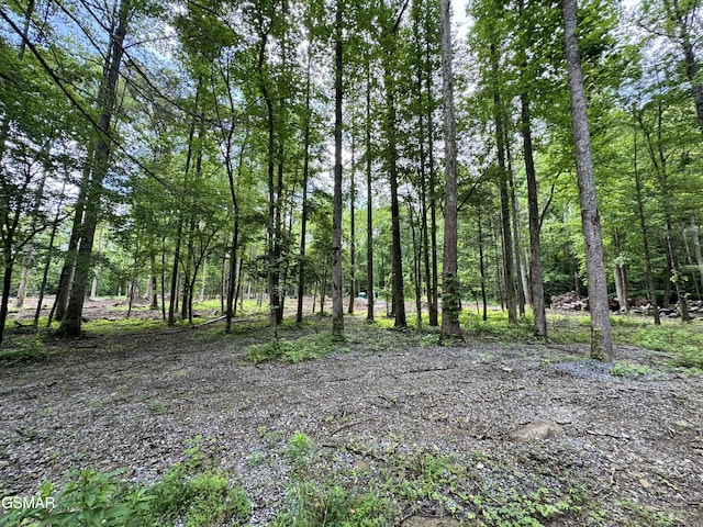LOT6 Fontaine Way, Gatlinburg, TN 37738
