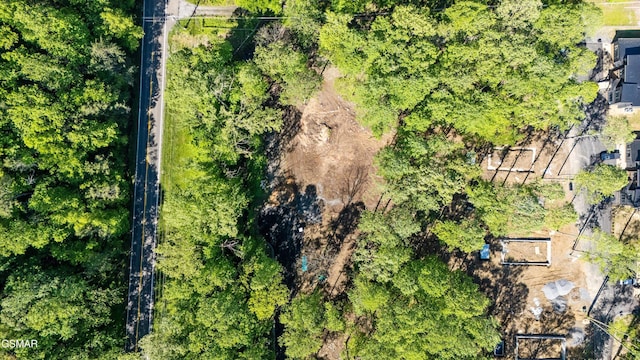 LOT6 Fontaine Way, Gatlinburg, TN 37738