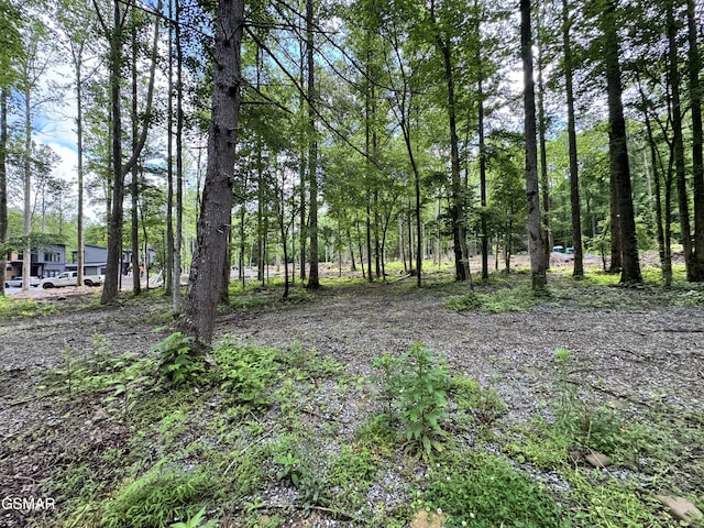 LOT6 Fontaine Way, Gatlinburg, TN 37738