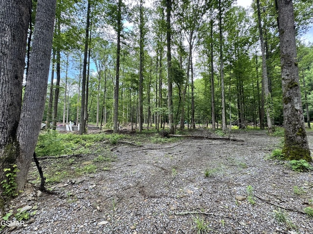 LOT6 Fontaine Way, Gatlinburg, TN 37738