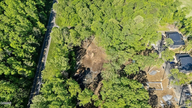 LOT6 Fontaine Way, Gatlinburg, TN 37738