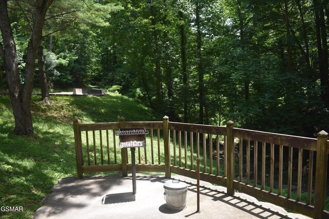 1435 Wiley Oakley Dr Unit 177, Gatlinburg, TN 37738 - photo 24