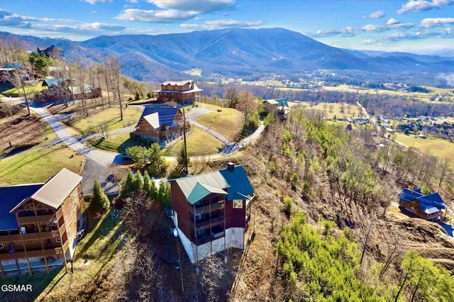 bird's eye view featuring a mountain view