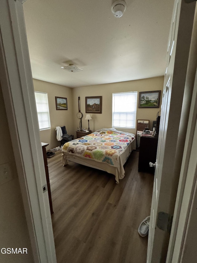 bedroom featuring multiple windows and dark wood-type flooring