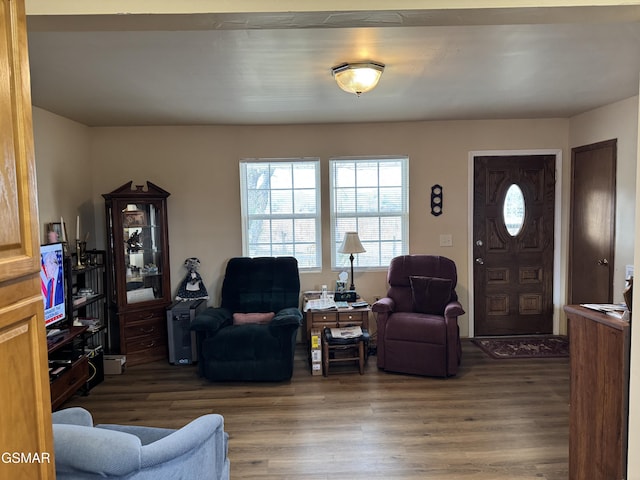 living room with hardwood / wood-style flooring