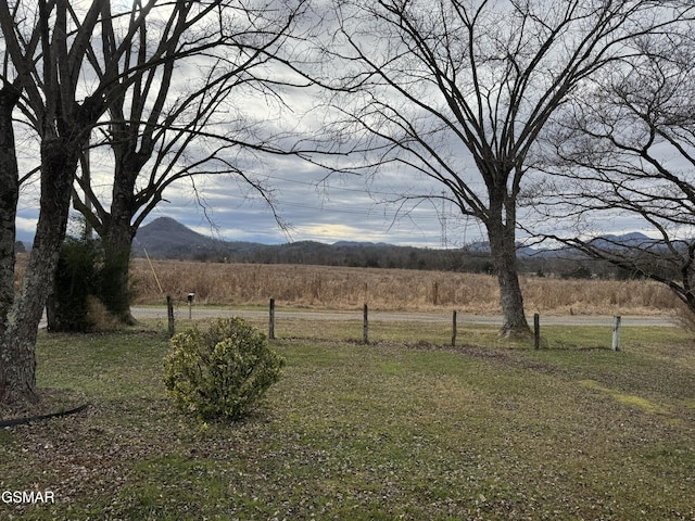 view of yard featuring a mountain view and a rural view