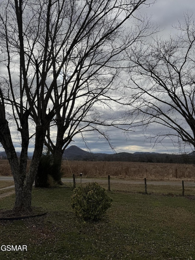 view of yard with a rural view