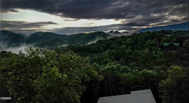 property view of mountains