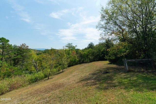 view of yard featuring a forest view