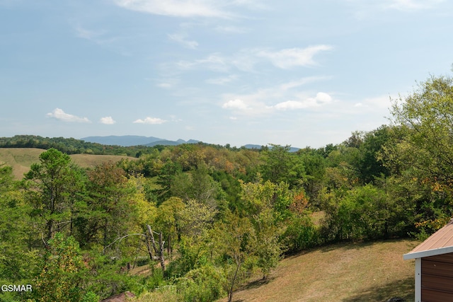 mountain view with a wooded view