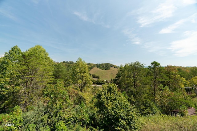 view of local wilderness featuring a view of trees