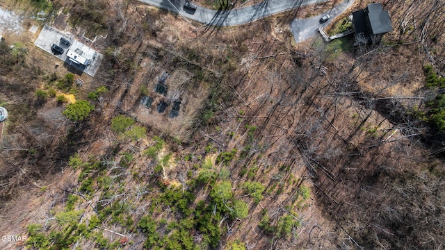 LOT4 Walker Trl, Sevierville, TN 37876 - photo 7