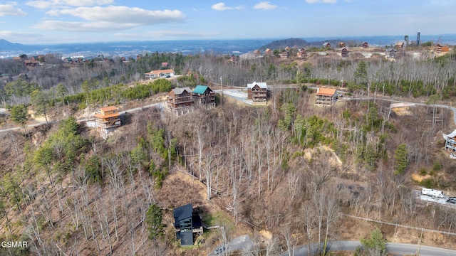 LOT4 Walker Trl, Sevierville, TN 37876 - photo 3