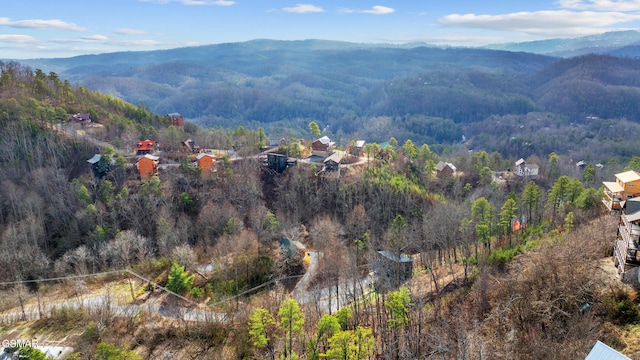 LOT4 Walker Trl, Sevierville, TN 37876 - photo 8