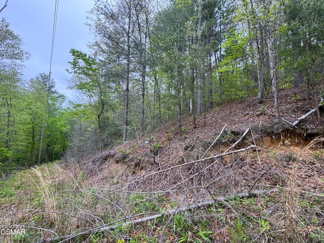376 Summer House Hollow Rd, Del Rio, TN 37727