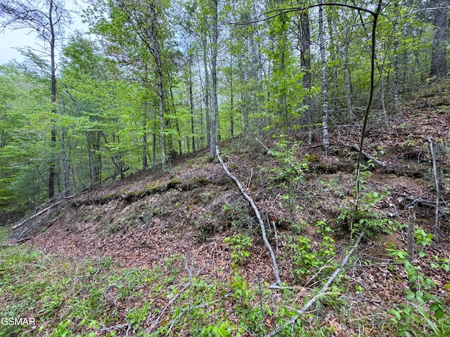376 Summer House Hollow Rd, Del Rio, TN 37727