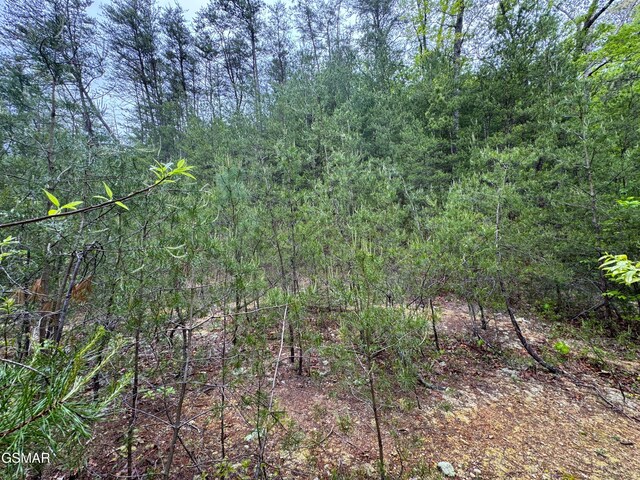 376 Summer House Hollow Rd, Del Rio, TN 37727