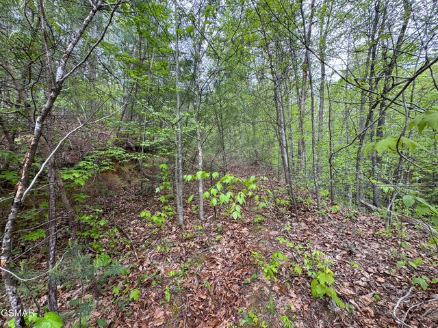 376 Summer House Hollow Rd, Del Rio, TN 37727