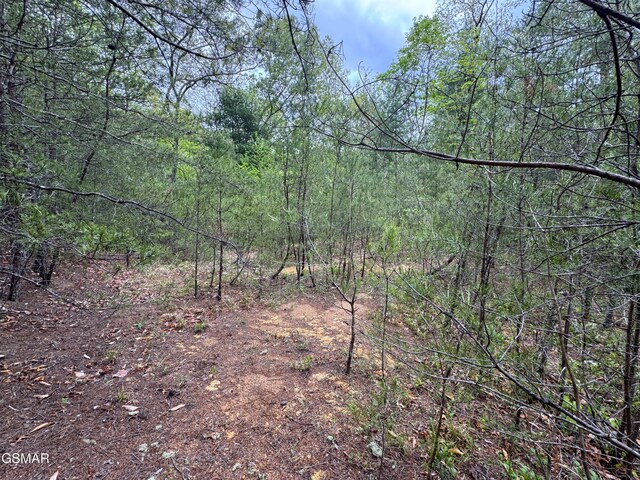 376 Summer House Hollow Rd, Del Rio, TN 37727
