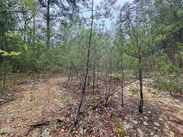 376 Summer House Hollow Rd, Del Rio, TN 37727