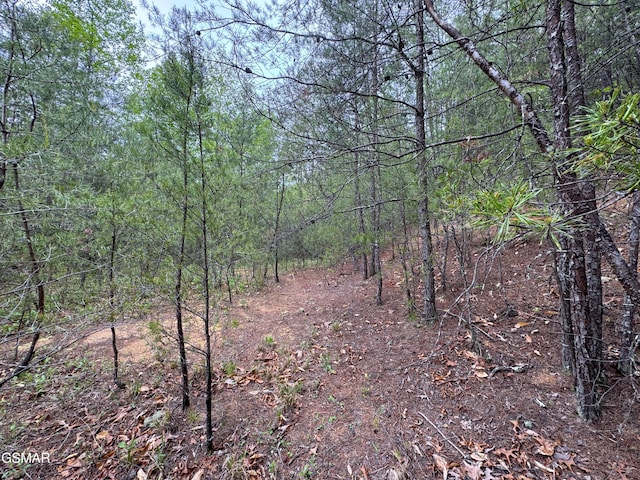 376 Summer House Hollow Rd, Del Rio, TN 37727