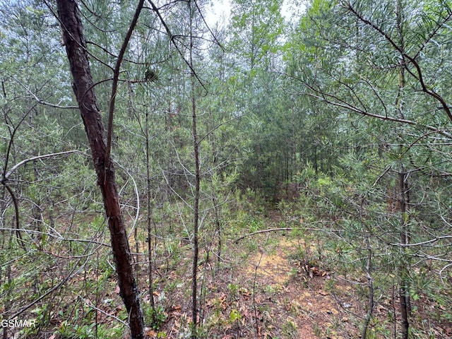 376 Summer House Hollow Rd, Del Rio, TN 37727